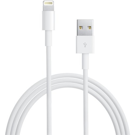 Originální Apple USB kabel s konektorem Lightning (1m)